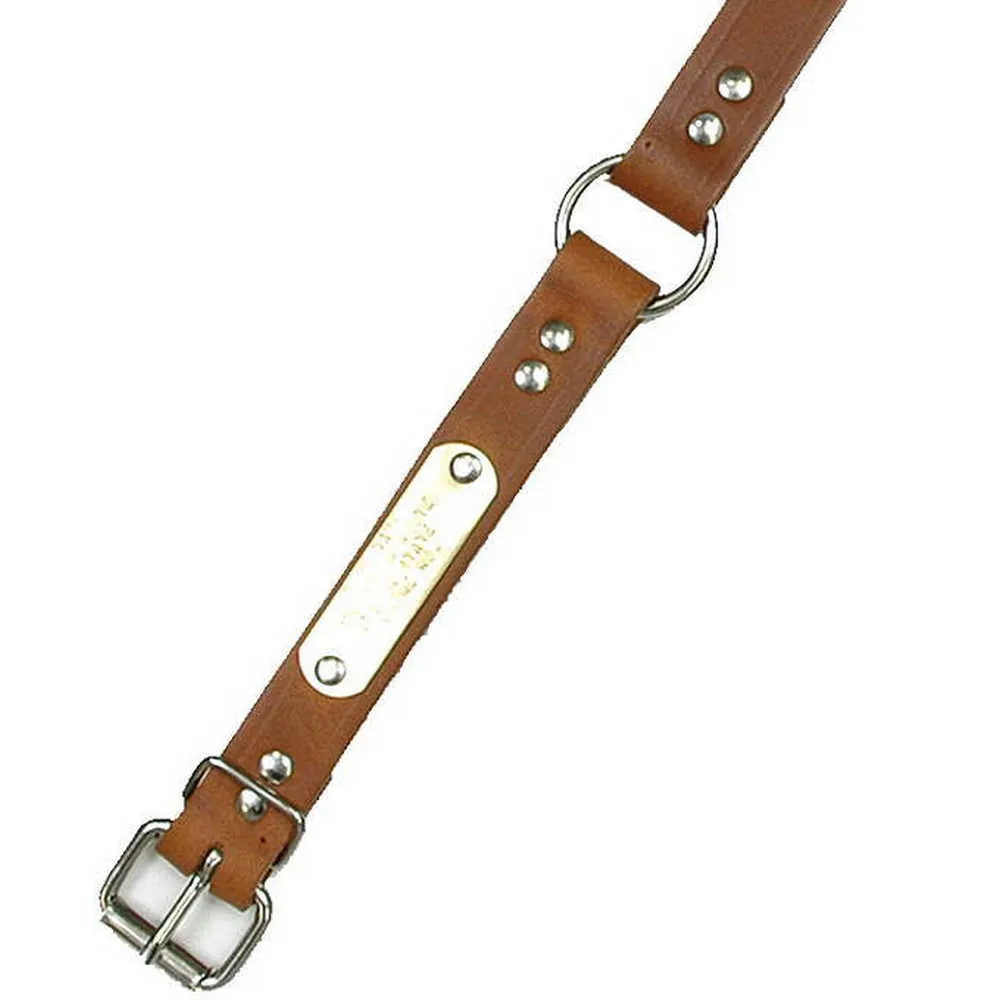 1" Wide Leather Dog Collar With Optional ID Tag