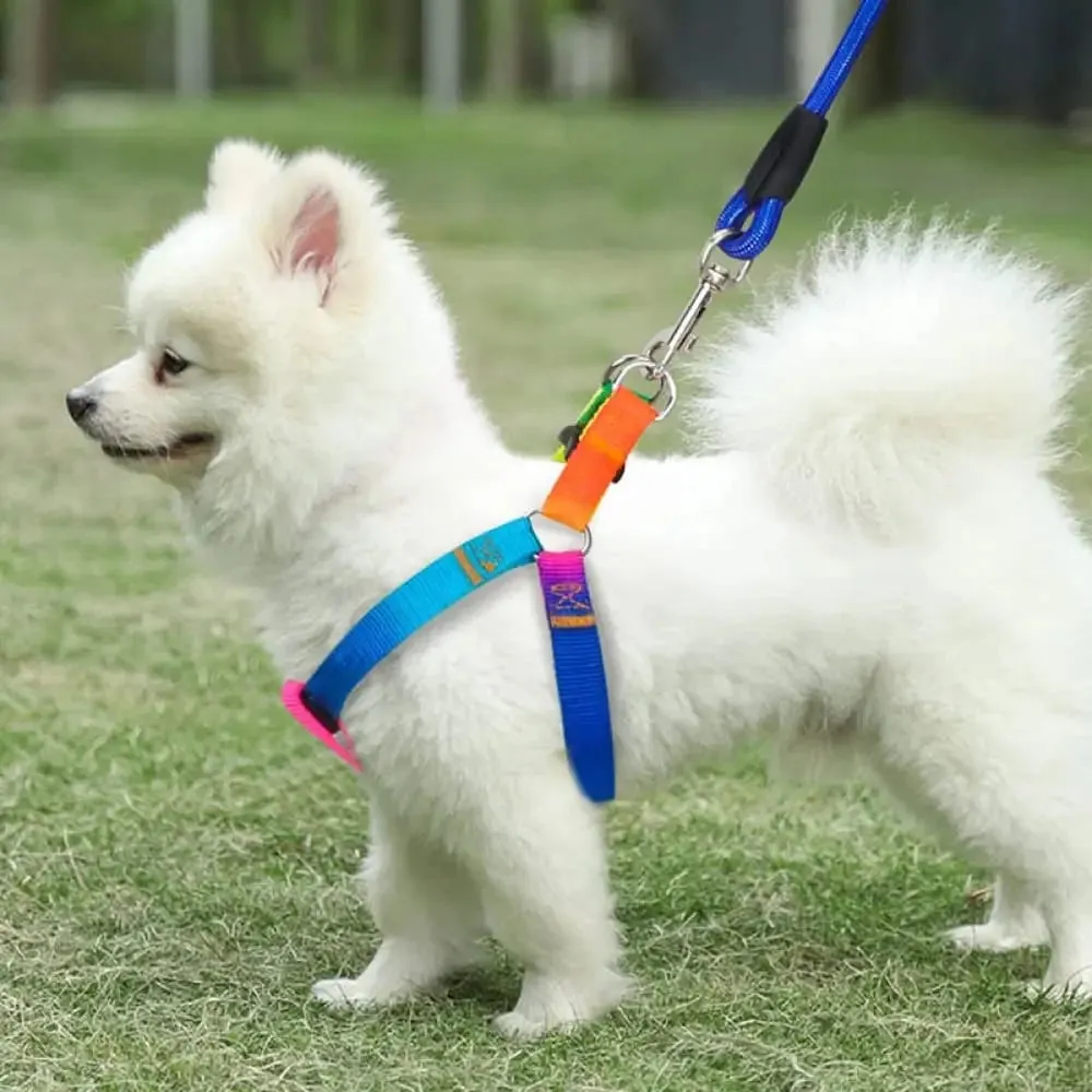 Adjustable Safe Nylon no Pull Pet Vest Harnes Leash Set for Small, Medium Dogs