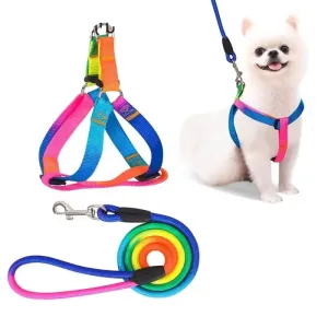 Adjustable Safe Nylon no Pull Pet Vest Harnes Leash Set for Small, Medium Dogs