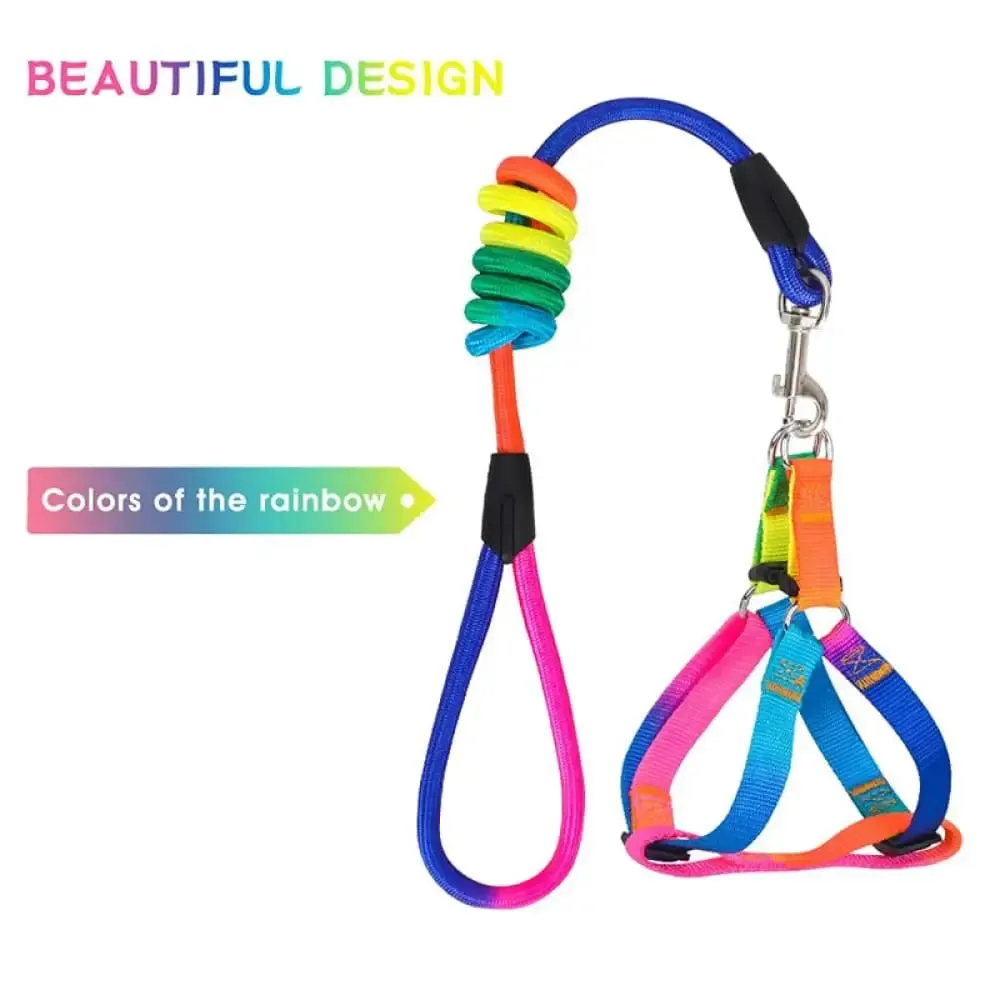 Adjustable Safe Nylon no Pull Pet Vest Harnes Leash Set for Small, Medium Dogs