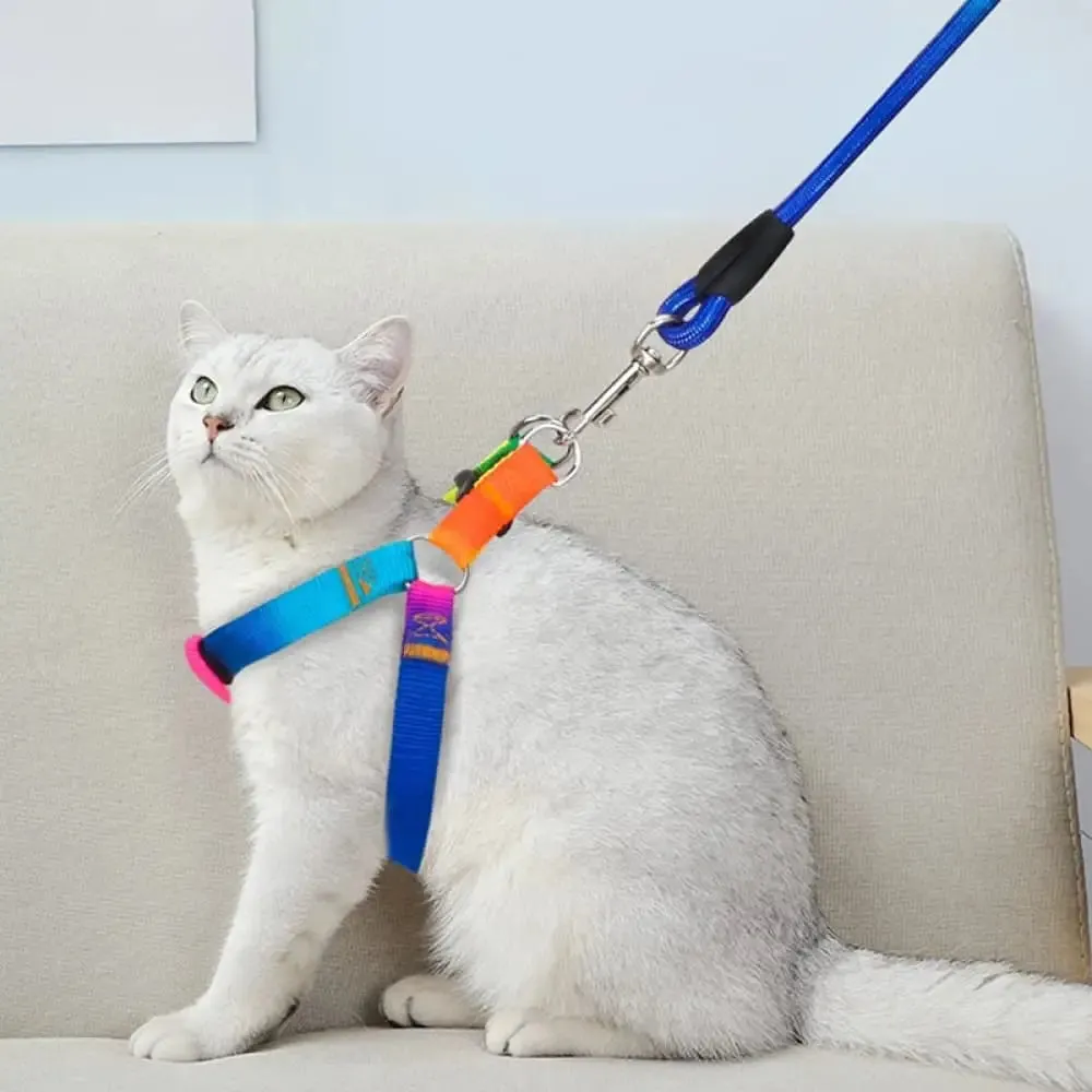 Adjustable Safe Nylon no Pull Pet Vest Harnes Leash Set for Small, Medium Dogs