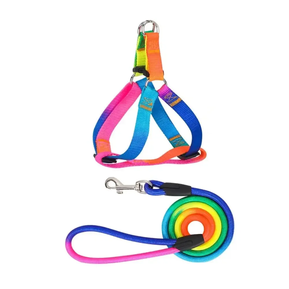Adjustable Safe Nylon no Pull Pet Vest Harnes Leash Set for Small, Medium Dogs