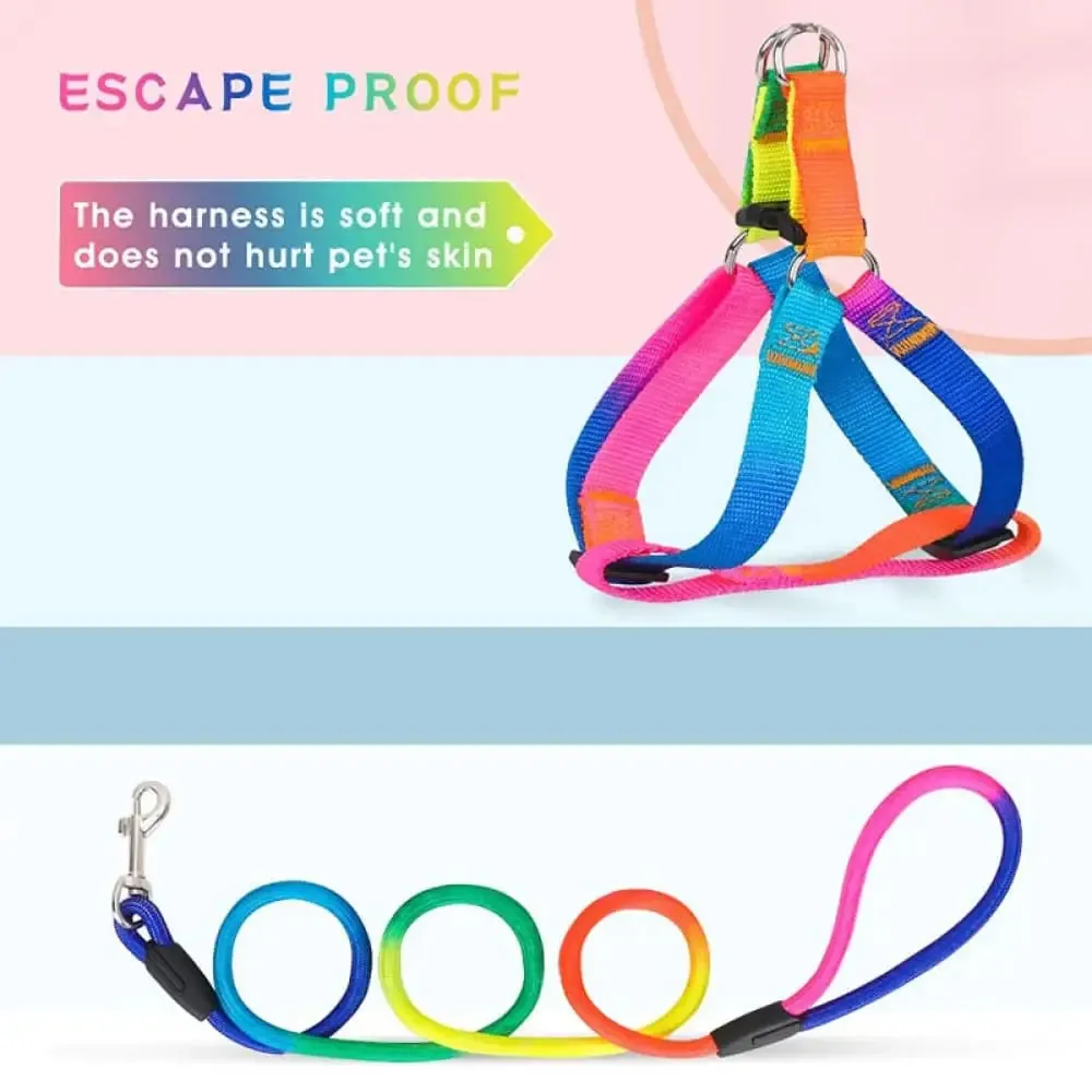 Adjustable Safe Nylon no Pull Pet Vest Harnes Leash Set for Small, Medium Dogs