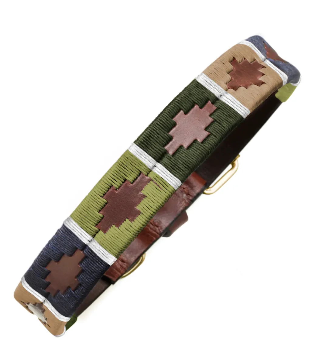 ARGENTINA DOG COLLARS
