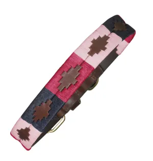ARGENTINA DOG COLLARS