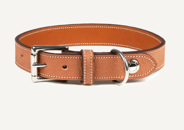 BUTET DOG COLLARS