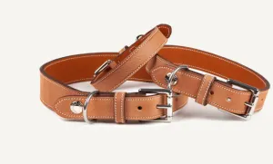 BUTET DOG COLLARS