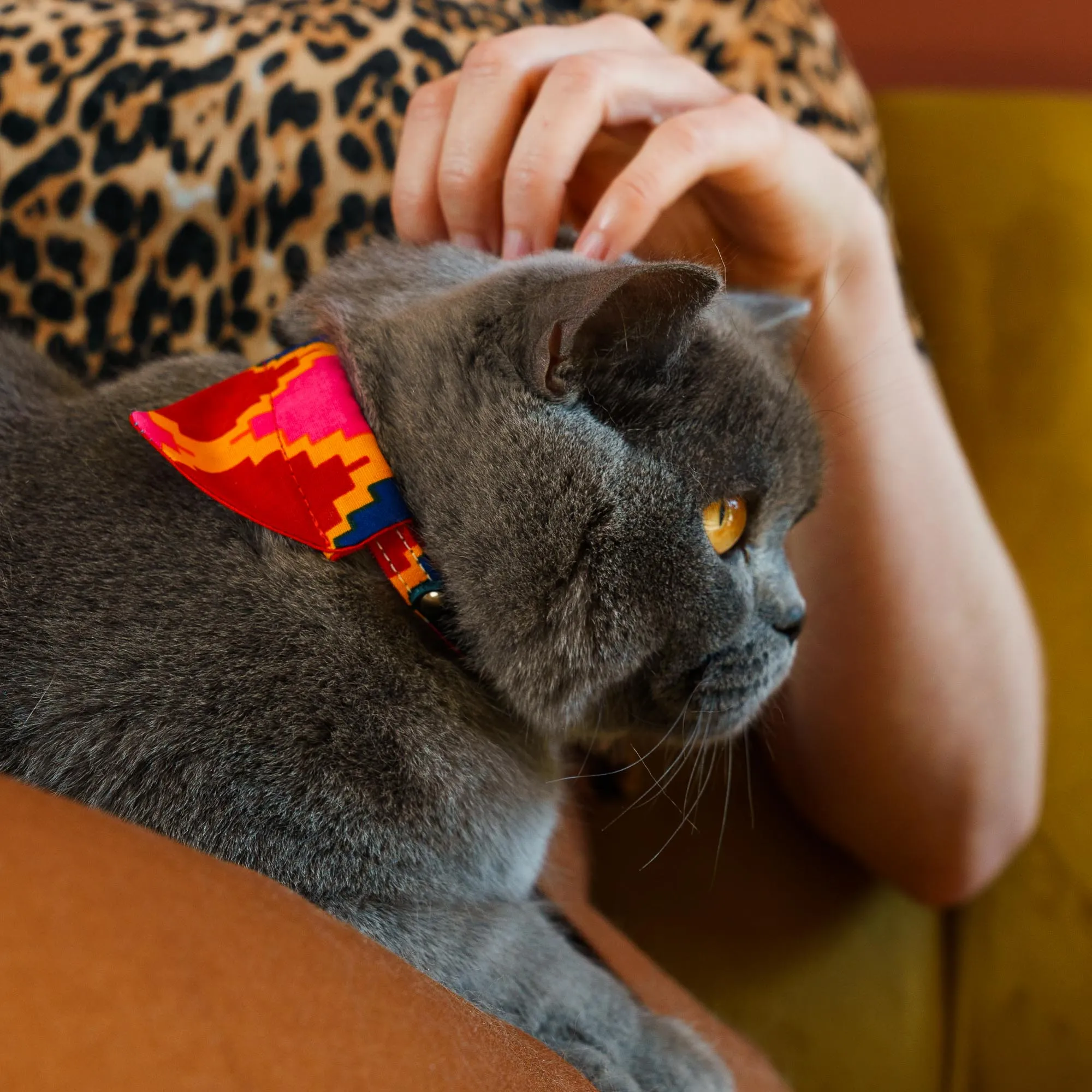 Dakar Cat Bandana