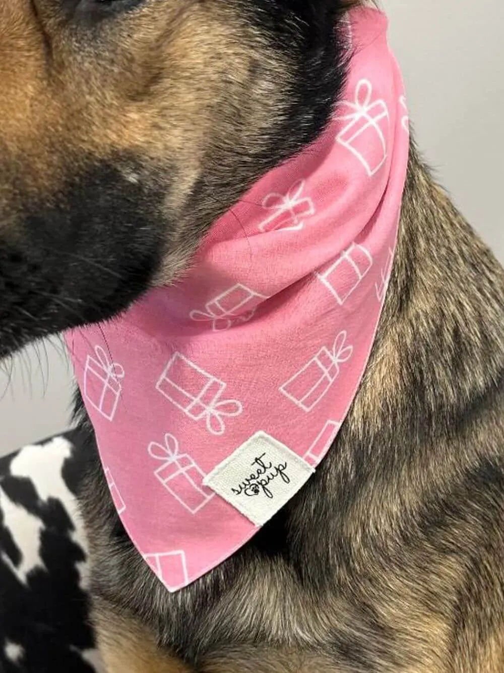 Dog Bandana - Dog Birthday Bandana Gifted Pink
