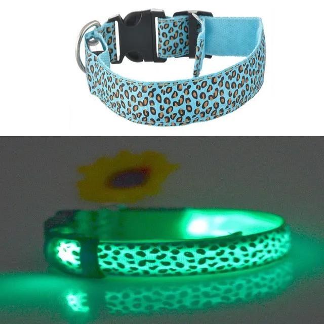 Dog Pet Collar Flashing USB Rechargeable LED Safety Light Up LED Pet Collar Nylon Pet Strap Neck Belt For Small Large Dog
