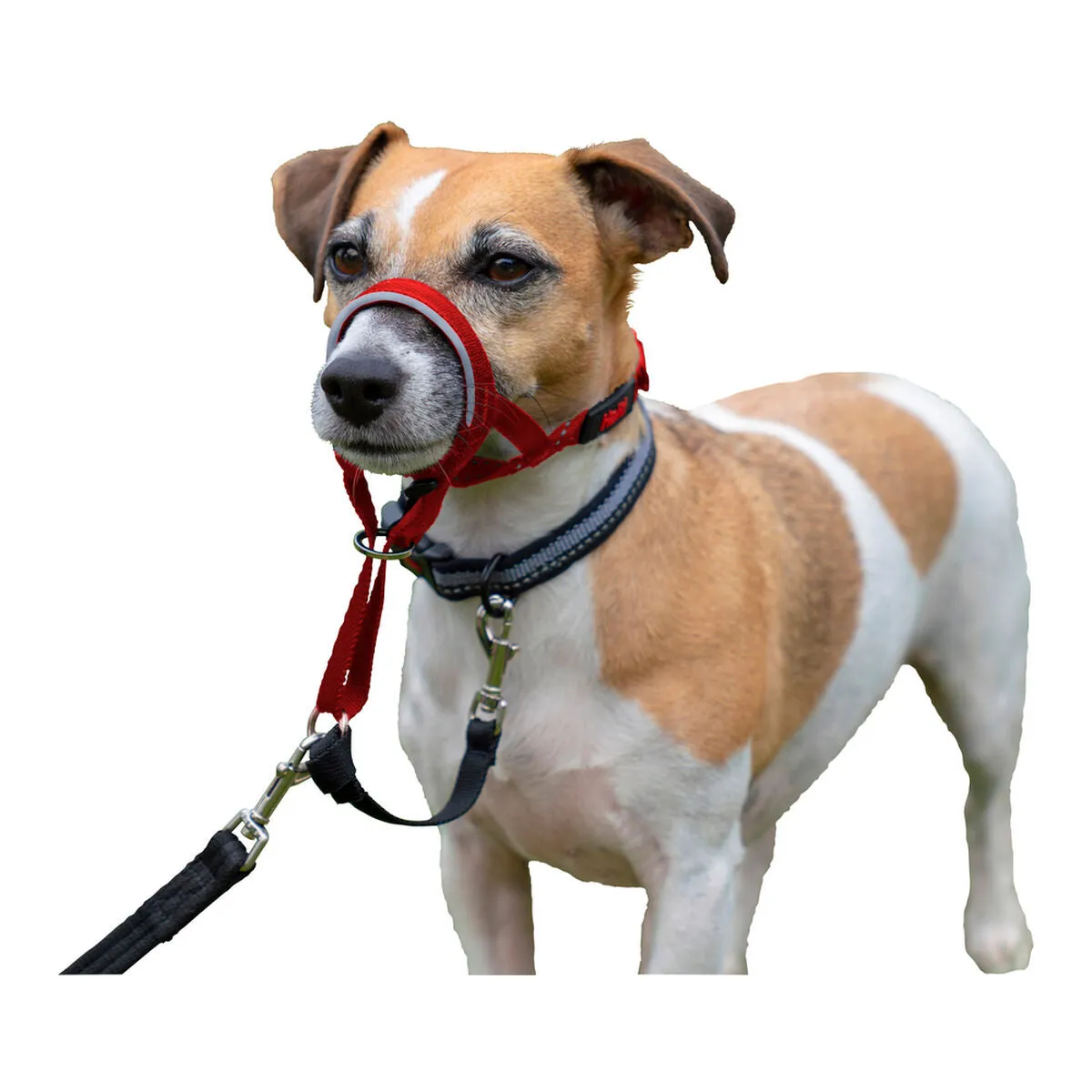 Dog Training Collars by Company of Animals Halti Muzzle 4054 Cm