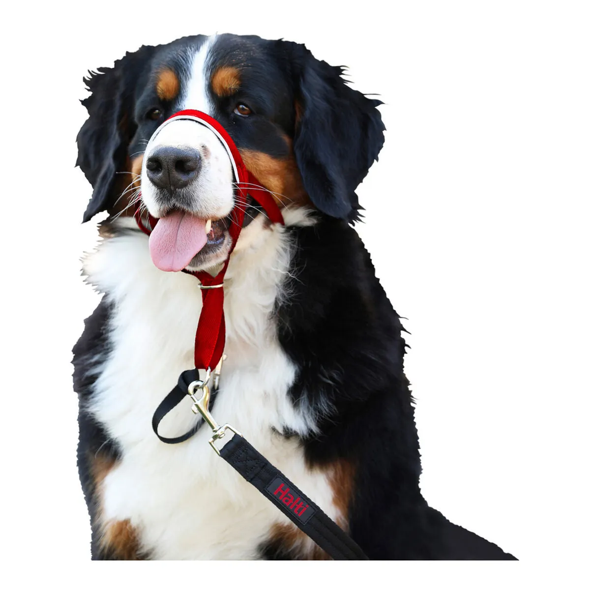 Dog Training Collars by Company of Animals Halti Muzzle 4054 Cm