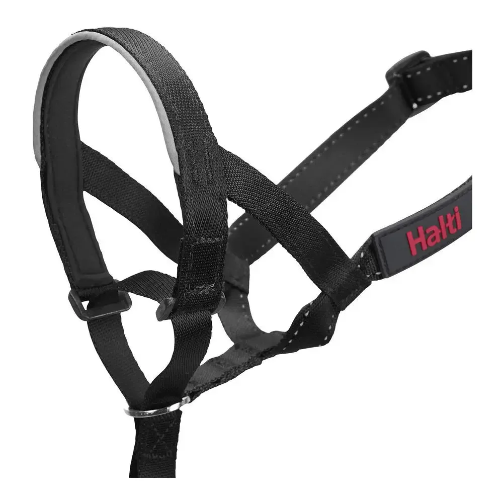 Dog Training Collars Company of Animals Halti Black Muzzle (46-62 Cm)