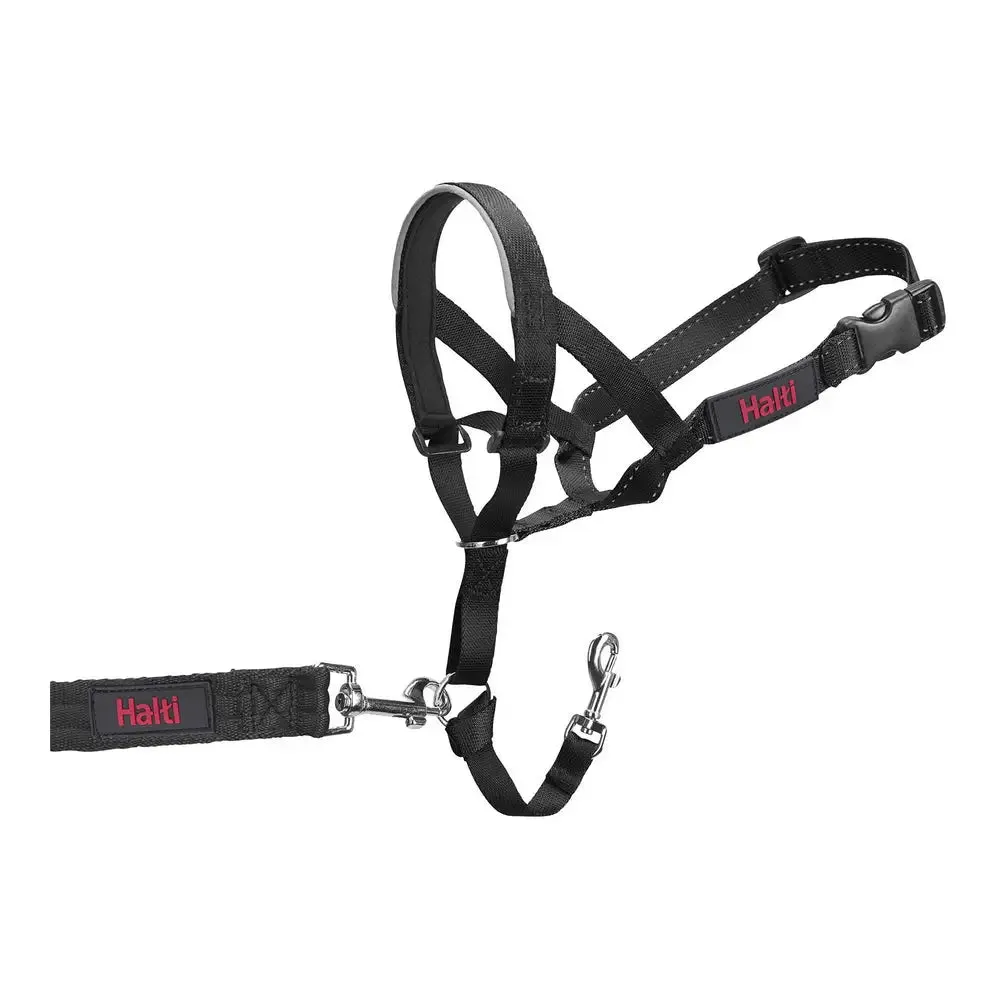 Dog Training Collars Company of Animals Halti Black Muzzle (46-62 Cm)