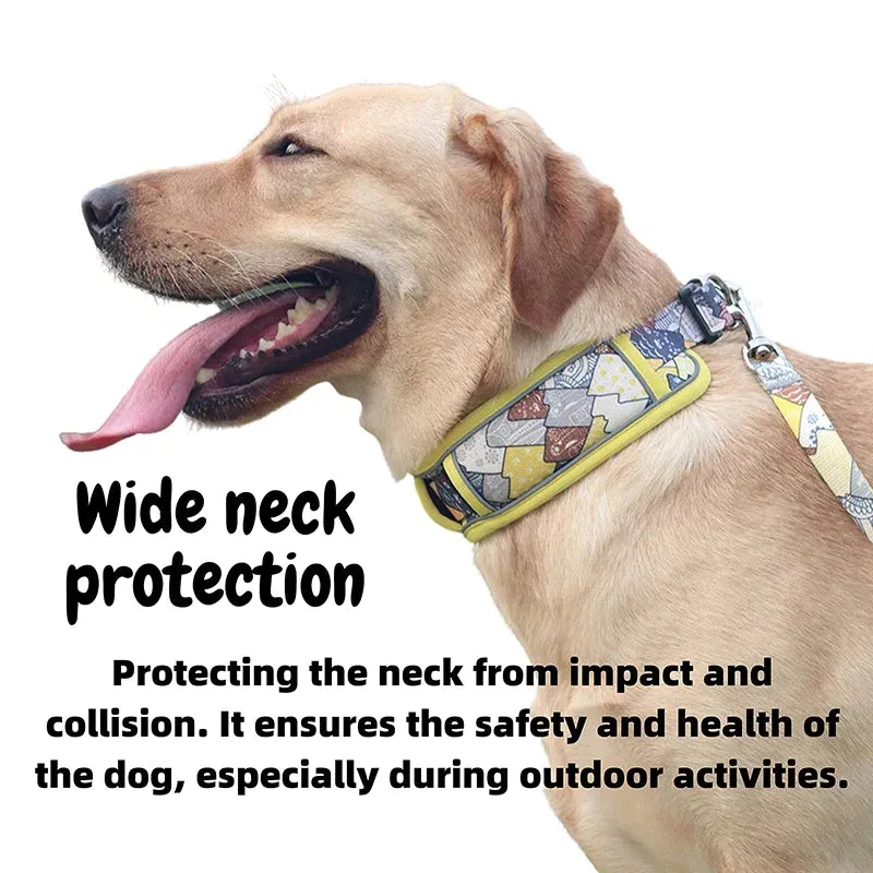 Fashionable Dog Collar Wide Neck Strong Breathable Dual d Rings Padded Printed Quick Release Buckle