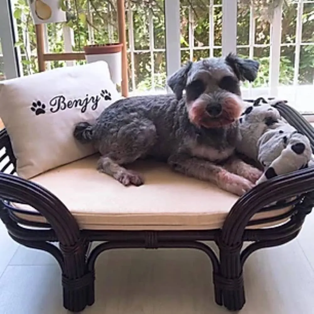 Furnish Kitkat Dog Bed (Coffee Brown BL)