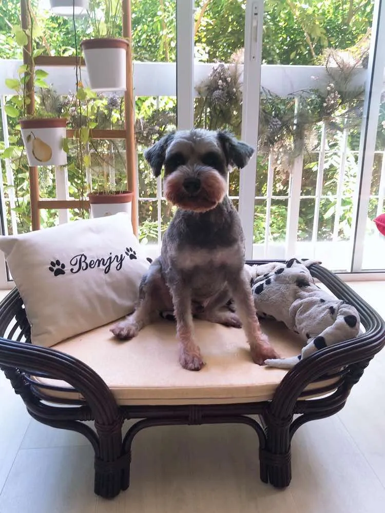 Furnish Kitkat Dog Bed (Coffee Brown BL)