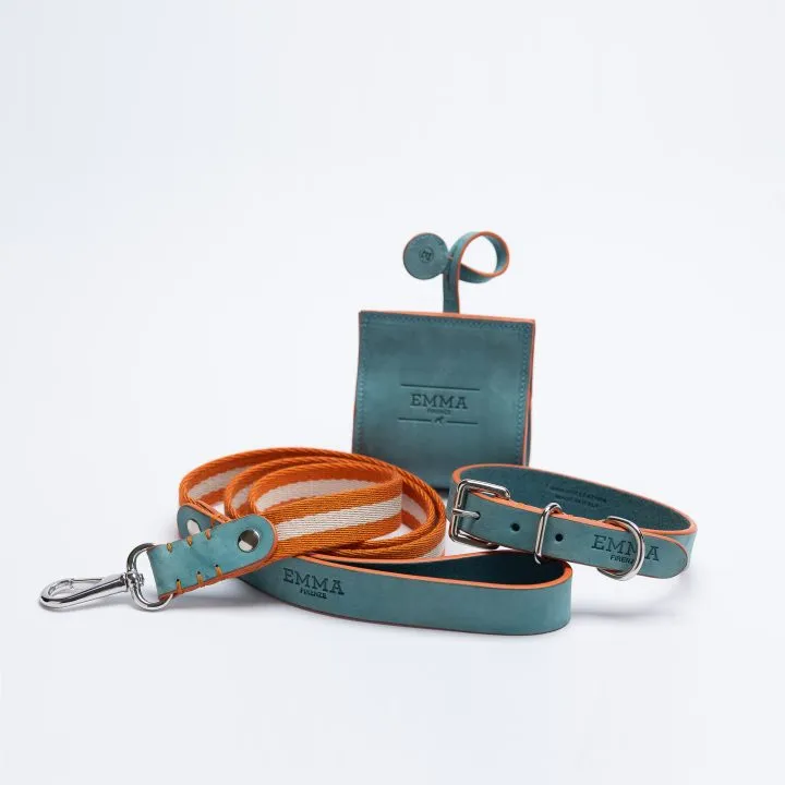 Nubuck Celestial Leash