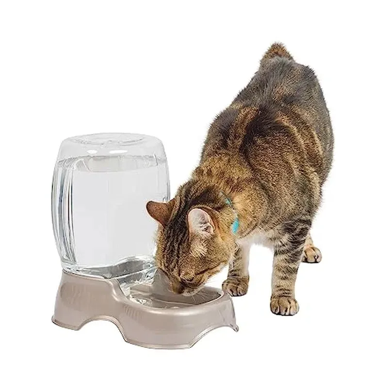 Petmate Pet Caf Gravity Waterer Plastic Water Bowl Dispenser Station, for Cats and Dogs, 0.75 gal, Pearl Tan