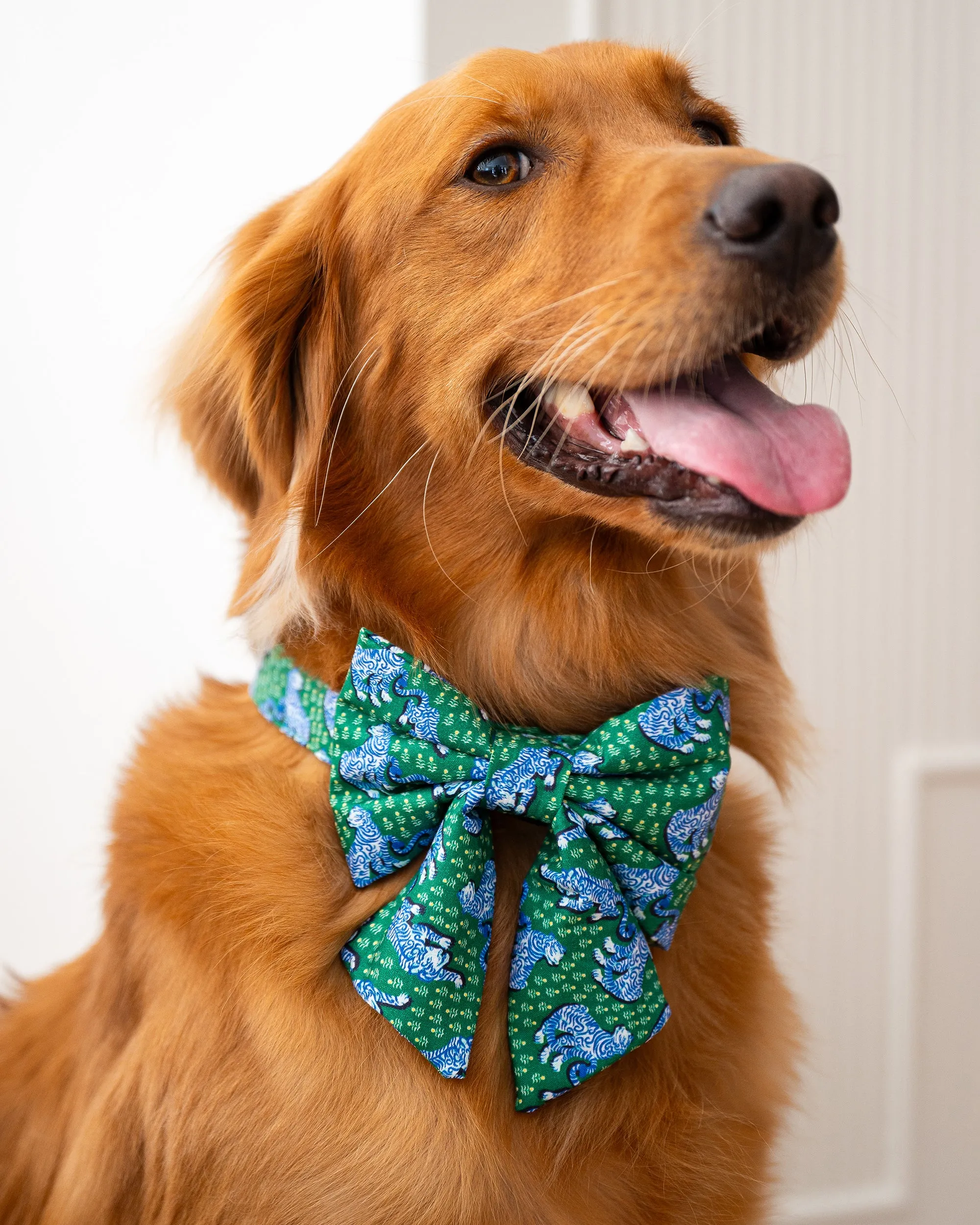 PF x The Foggy Dog Tiger Queen - Lady Dog Bow - Jade
