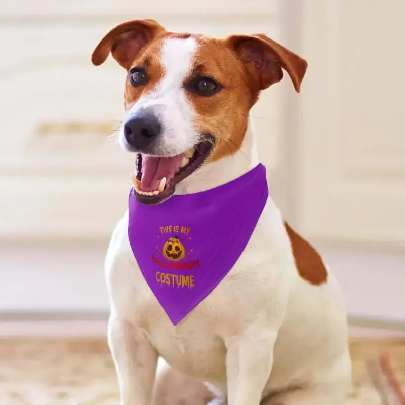 Purple Halloween Costume Pet Bandana for Your Furry Friend