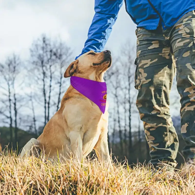 Purple Halloween Costume Pet Bandana for Your Furry Friend