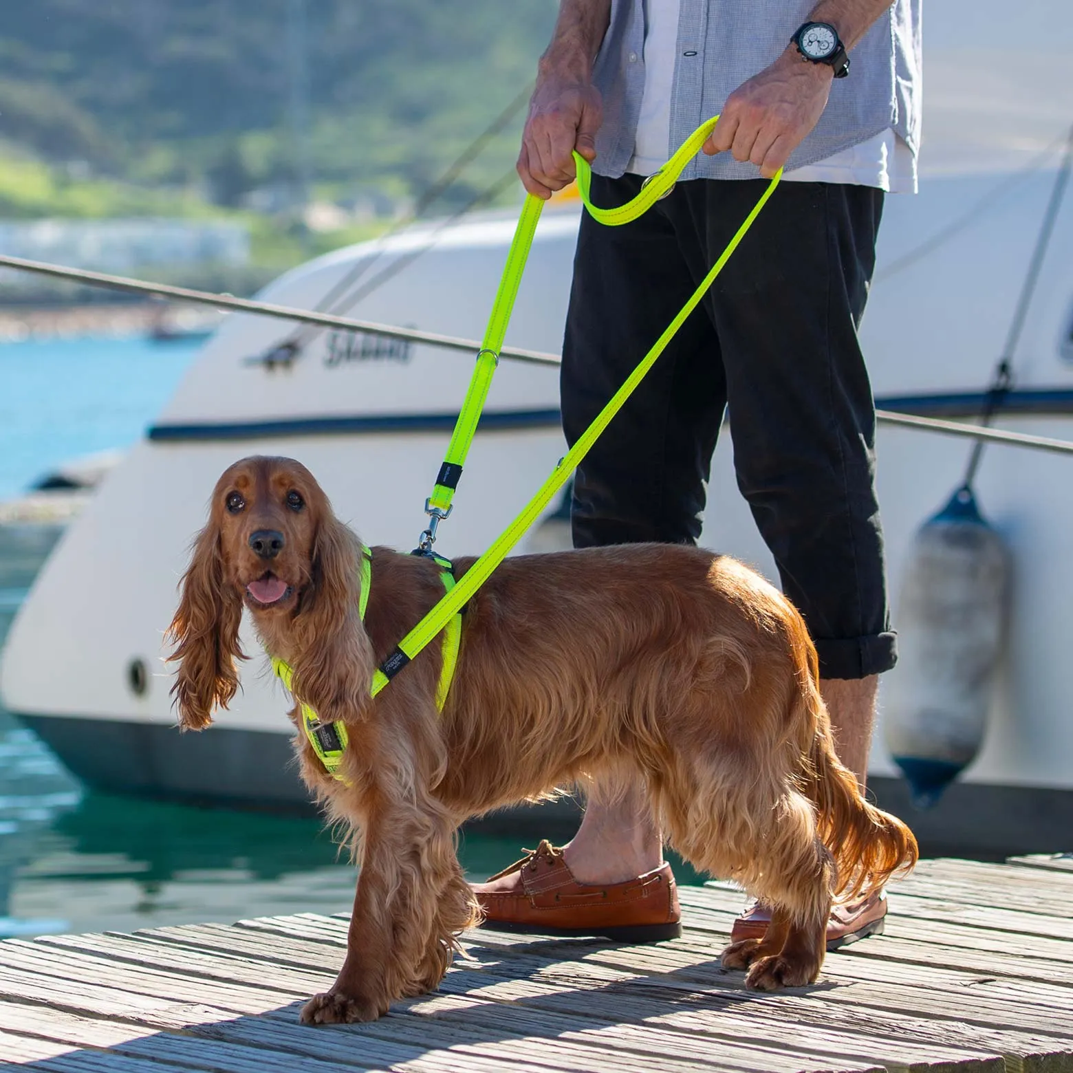 Rogz Control Dog Harness Red Small^^^