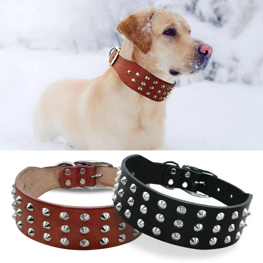 Studded Leather Dog Collar with Rock Style Design - Perfect for Fashionable Dogs