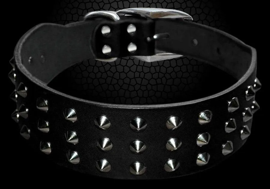 Studded Leather Dog Collar with Rock Style Design - Perfect for Fashionable Dogs