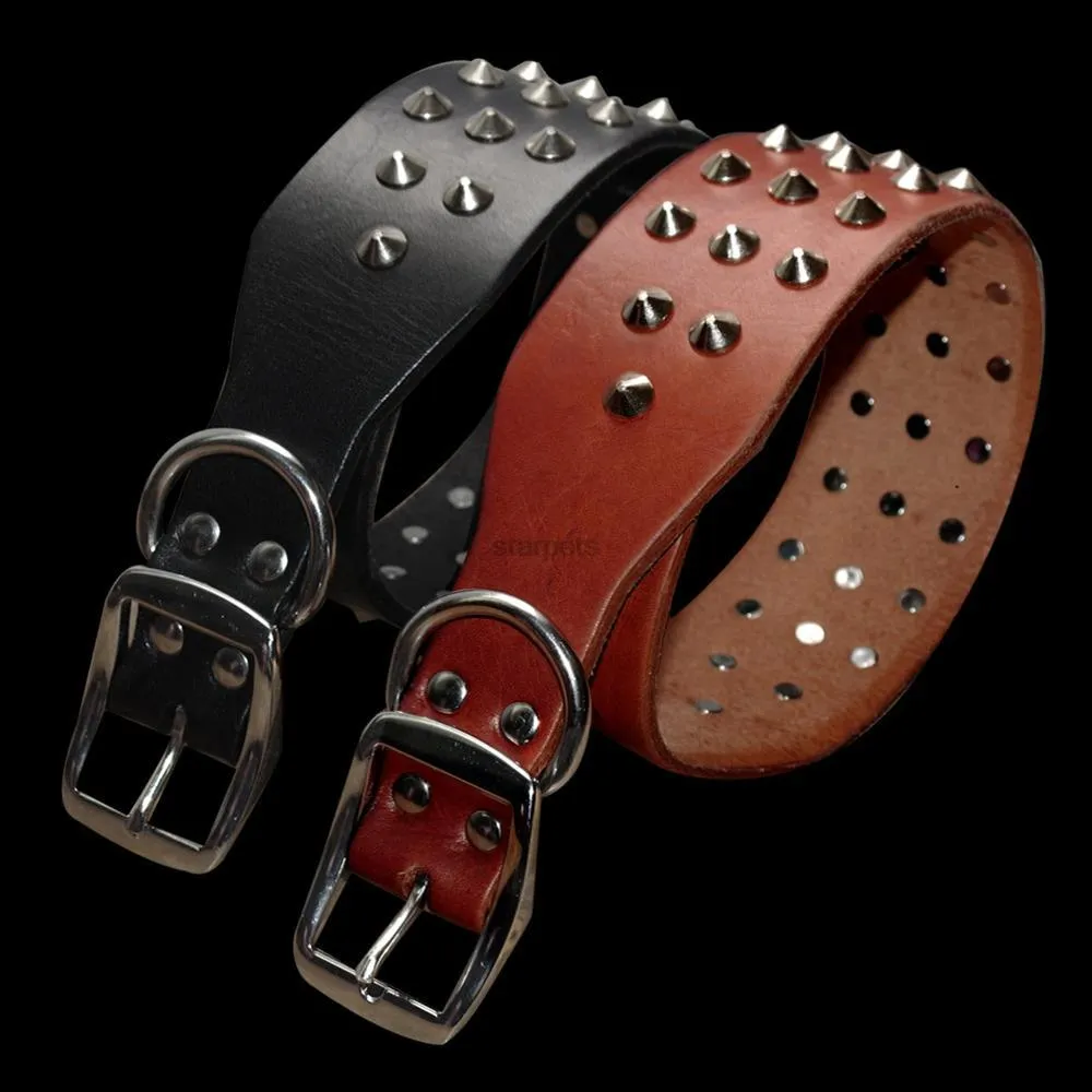 Studded Leather Dog Collar with Rock Style Design - Perfect for Fashionable Dogs