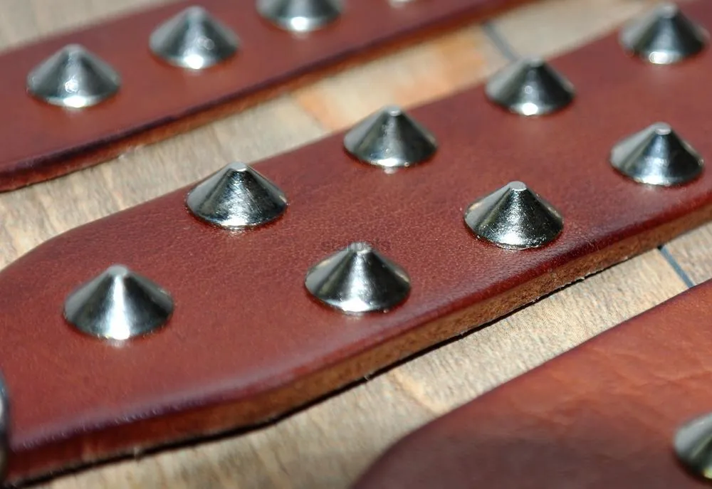 Studded Leather Dog Collar with Rock Style Design - Perfect for Fashionable Dogs