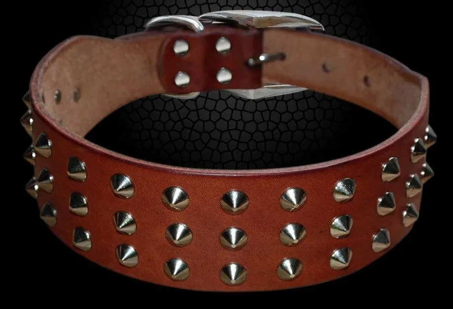 Studded Leather Dog Collar with Rock Style Design - Perfect for Fashionable Dogs